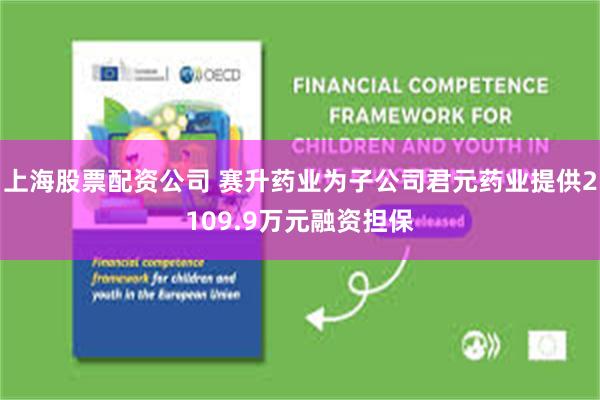 上海股票配资公司 赛升药业为子公司君元药业提供2109.9万元融资担保
