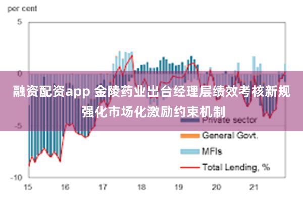融资配资app 金陵药业出台经理层绩效考核新规 强化市场化激励约束机制