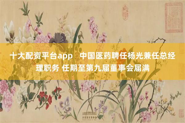 十大配资平台app   中国医药聘任杨光兼任总经理职务 任期至第九届董事会届满