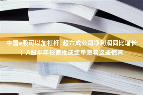 中国a股可以加杠杆  超六成公司净利润同比增长！A股半年报首批成绩单藏着这些惊喜