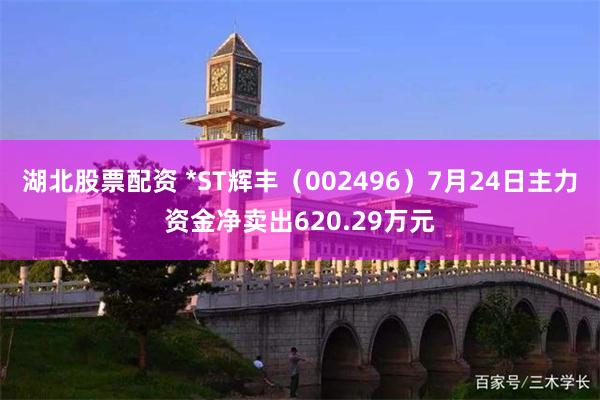 湖北股票配资 *ST辉丰（002496）7月24日主力资金净卖出620.29万元