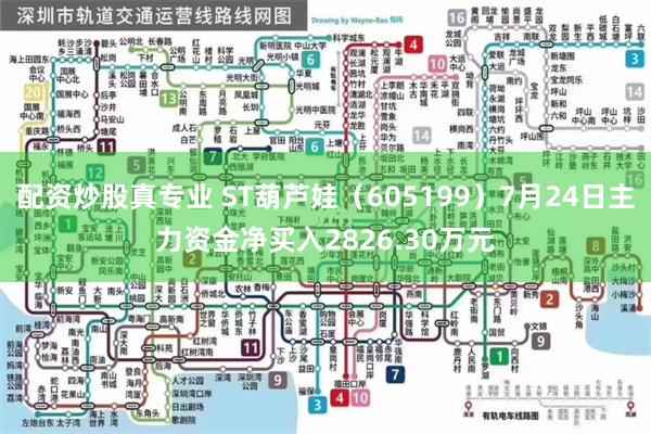 配资炒股真专业 ST葫芦娃（605199）7月24日主力资金净买入2826.30万元