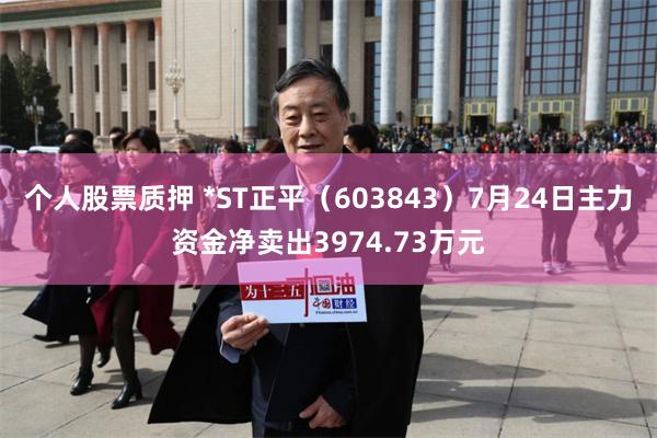 个人股票质押 *ST正平（603843）7月24日主力资金净卖出3974.73万元