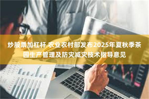 炒股票加杠杆 农业农村部发布2025年夏秋季茶园生产管理及防灾减灾技术指导意见