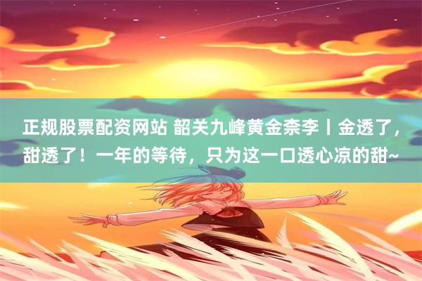 正规股票配资网站 韶关九峰黄金柰李丨金透了，甜透了！一年的等待，只为这一口透心凉的甜~