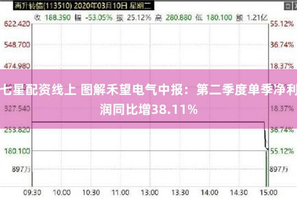 七星配资线上 图解禾望电气中报：第二季度单季净利润同比增38.11%