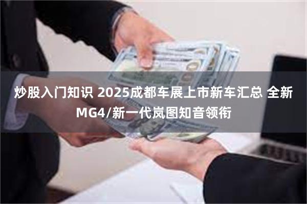 炒股入门知识 2025成都车展上市新车汇总 全新MG4/新一代岚图知音领衔