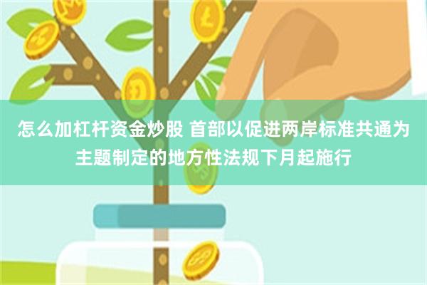怎么加杠杆资金炒股 首部以促进两岸标准共通为主题制定的地方性法规下月起施行