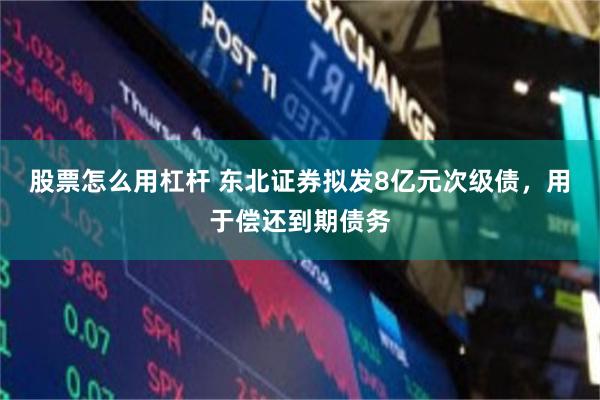 股票怎么用杠杆 东北证券拟发8亿元次级债，用于偿还到期债务