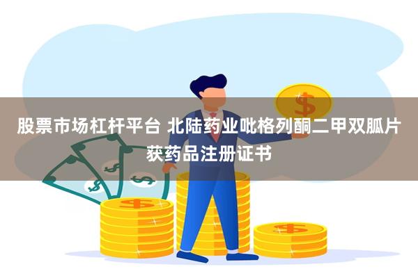 股票市场杠杆平台 北陆药业吡格列酮二甲双胍片获药品注册证书
