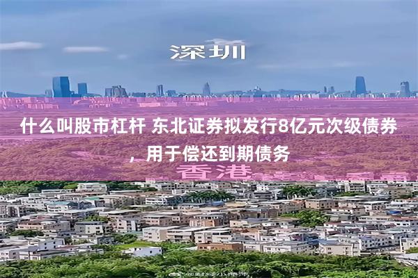 什么叫股市杠杆 东北证券拟发行8亿元次级债券，用于偿还到期债务