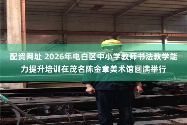 配资网址 2026年电白区中小学教师书法教学能力提升培训在茂名陈金章美术馆圆满举行