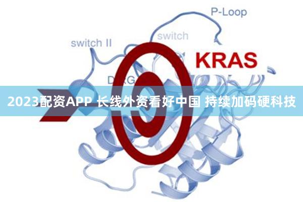 2023配资APP 长线外资看好中国 持续加码硬科技