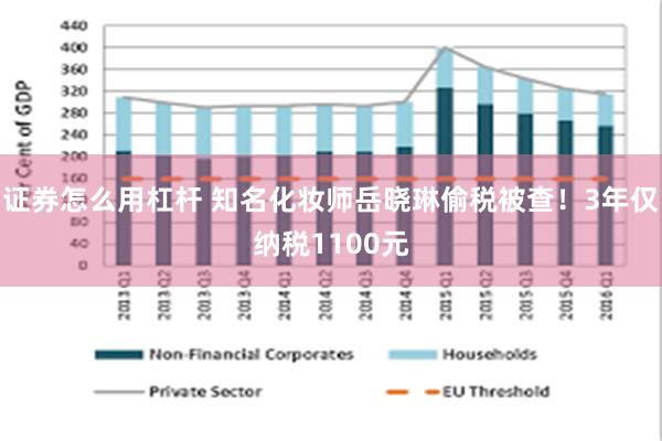 证券怎么用杠杆 知名化妆师岳晓琳偷税被查！3年仅纳税1100元