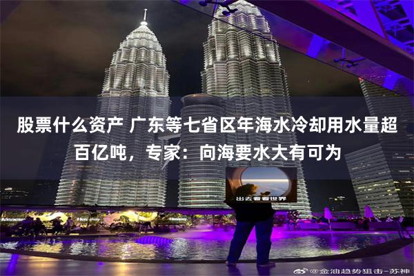 股票什么资产 广东等七省区年海水冷却用水量超百亿吨，专家：向海要水大有可为