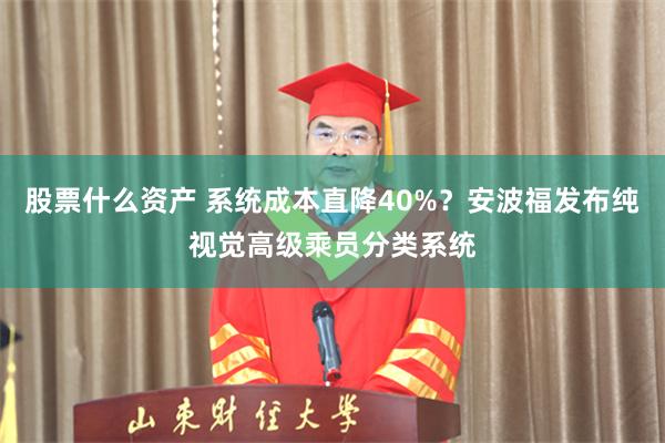 股票什么资产 系统成本直降40%？安波福发布纯视觉高级乘员分类系统