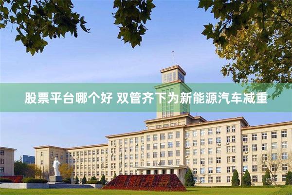 股票平台哪个好 双管齐下为新能源汽车减重