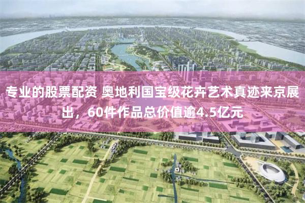 专业的股票配资 奥地利国宝级花卉艺术真迹来京展出，60件作品总价值逾4.5亿元