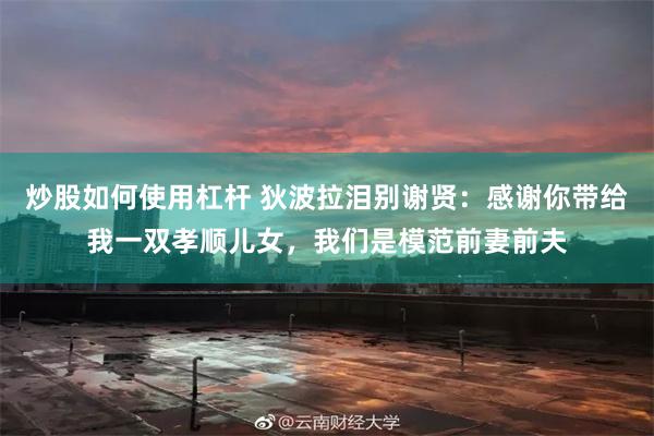 炒股如何使用杠杆 狄波拉泪别谢贤：感谢你带给我一双孝顺儿女，我们是模范前妻前夫