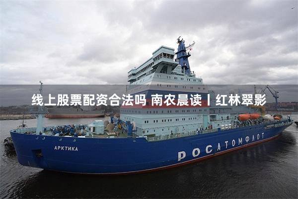 线上股票配资合法吗 南农晨读丨红林翠影