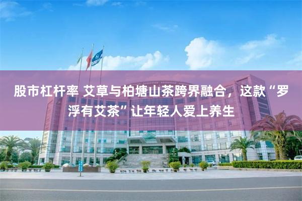 股市杠杆率 艾草与柏塘山茶跨界融合，这款“罗浮有艾茶”让年轻人爱上养生