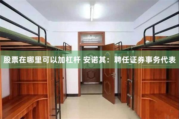 股票在哪里可以加杠杆 安诺其：聘任证券事务代表