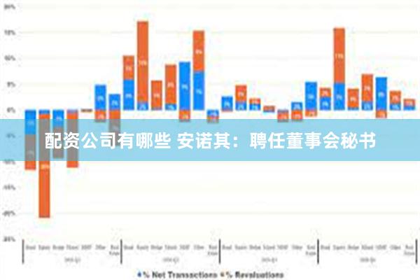 配资公司有哪些 安诺其：聘任董事会秘书
