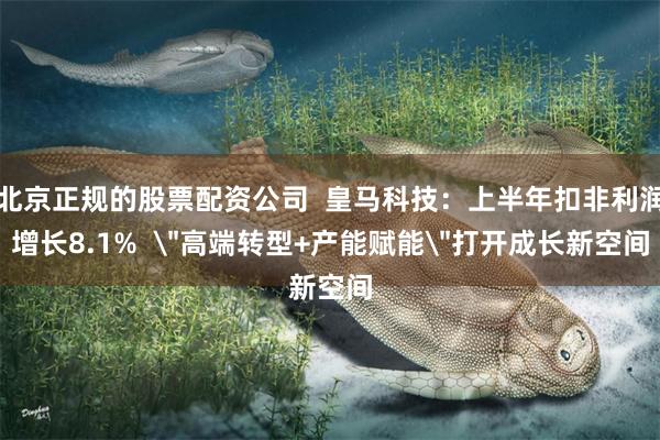 北京正规的股票配资公司  皇马科技：上半年扣非利润增长8.1%  
