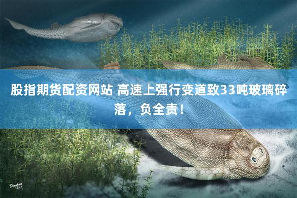 股指期货配资网站 高速上强行变道致33吨玻璃碎落，负全责！