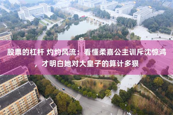 股票的杠杆 灼灼风流：看懂柔嘉公主训斥沈惊鸿，才明白她对大皇子的算计多狠