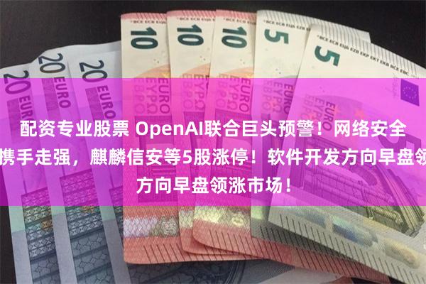 配资专业股票 OpenAI联合巨头预警！网络安全+AI应用携手走强，麒麟信安等5股涨停！软件开发方向早盘领涨市场！