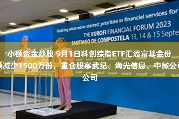 小额资金炒股 9月1日科创综指ETF汇添富基金份额减少1500万份，重仓股寒武纪、海光信息、中微公司