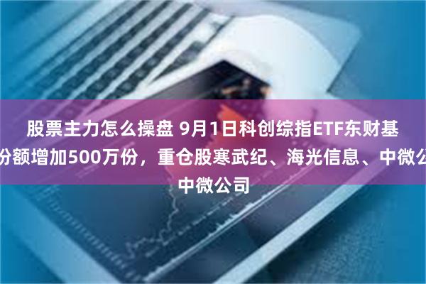 股票主力怎么操盘 9月1日科创综指ETF东财基金份额增加500万份,重仓股寒武纪、海光信息、中微公司