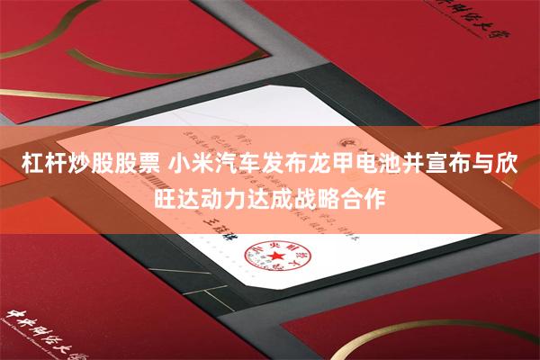 杠杆炒股股票 小米汽车发布龙甲电池并宣布与欣旺达动力达成战略合作