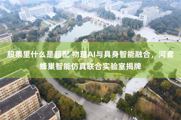 股票里什么是超配 物理AI与具身智能融合，河套蜂巢智能仿真联合实验室揭牌