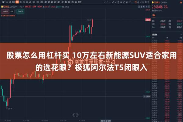 股票怎么用杠杆买 10万左右新能源SUV适合家用的选花眼？极狐阿尔法T5闭眼入