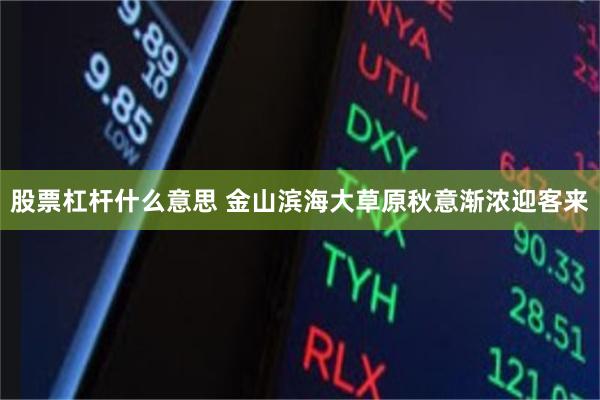 股票杠杆什么意思 金山滨海大草原秋意渐浓迎客来