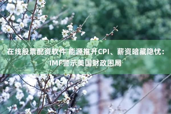 在线股票配资软件 能源推升CPI、薪资暗藏隐忧：IMF警示美国财政困局